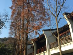 景观位-杭州雅谷泉山庄酒店-餐厅
