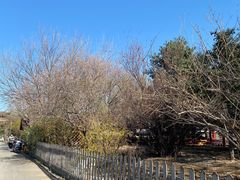 -尚庄度假村·庭台树下·户外烧烤·团建CS·轰趴营地(上庄水库店)