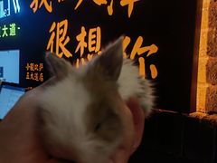 -大象厨房(重庆道店)