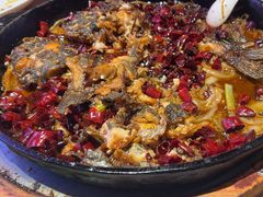 -老板恋上鱼(恒隆广场店)