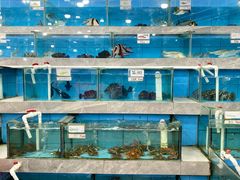 -考记泥焗鸡农庄·海鲜(北洛秘境店)