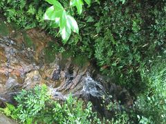 九华山友谊土菜馆-九华山友谊土菜馆 小资餐厅