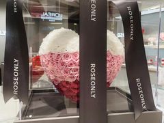 -ROSEONLY诺誓(广州K11店)