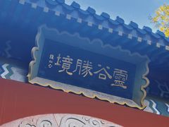 -灵谷景区