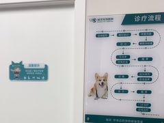 -瑞派康怡24h宠物医院·犬猫医疗中心·微创绝育(瑞景分院)