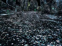 -超体空间SoReal VR(迪士尼小镇店)