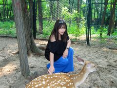 -南戴河国际娱乐中心