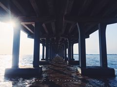 -宝安西湾红树林湿地公园