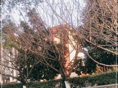 -地中海传奇水汇