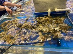 -川骄海鲜自助(河东店)
