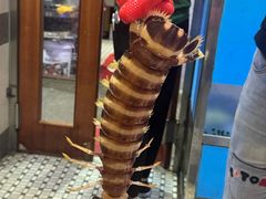 -富来美食(成发大厦店)