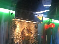-無招牌海鮮(芽笼店)