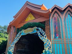 -西双版纳原始森林公园