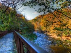 -紫颐香薰山谷景区