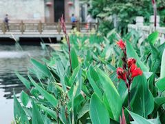 -黄埔古港
