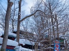 -宫城藏王狐狸村