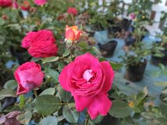 -沈阳国际会展中心管理有限公司