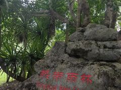-中国科学院西双版纳热带植物园