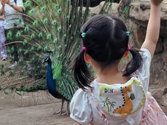 -长鹿旅游休博园