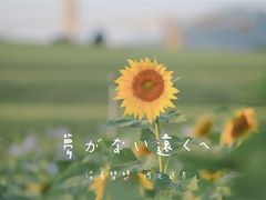 -光明小镇欢乐田园