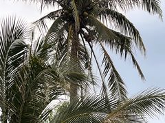 -亚龙湾中心广场