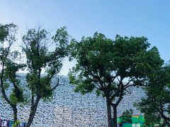 -金鸡湖景区