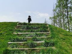 -前小桔亲子创意农场·草莓采摘·露营烧烤