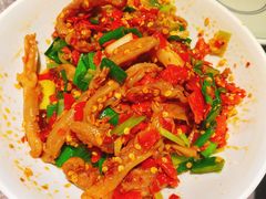 -壹盏灯(惠农店)