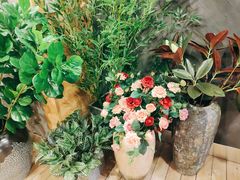 -唐沫茶兮(仓山万达金街店)