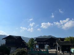 -大唐贡茶院