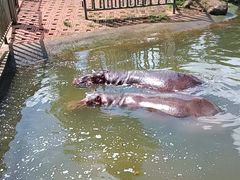 -海南热带野生动植物园