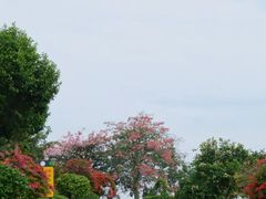 -东莞植物园