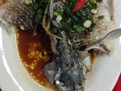 -先鲜鲫鱼粥