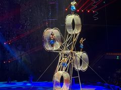 -灵玲国际马戏城