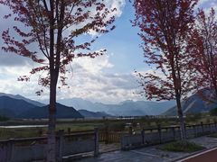 -大九湖