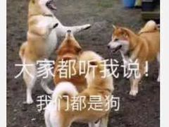 -桂小厨广西菜(水晶城店)