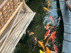 -上海大自然野生昆虫馆(东方明珠·爬宠昆虫探索中心)