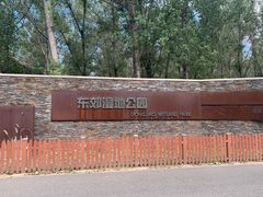 -东郊湿地公园