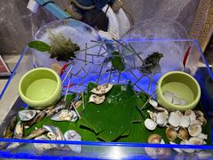 -红咖啡西餐厅·自助餐(惠州翡翠山华美达酒店)