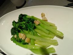 -宏宴·新京菜(望京店)