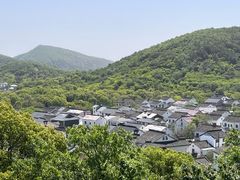 -香雪海