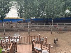 -沈阳植物园