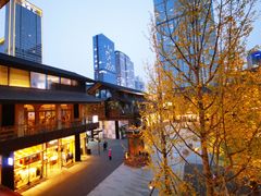 -柴门饭儿(成都太古里店)
