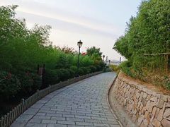 -竹子庵公园