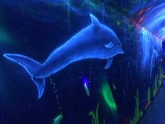 -福州罗源湾海洋世界旅游区