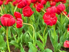 -玄武湖景区-情侣园游乐场