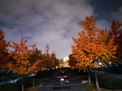-杭州城北体育公园
