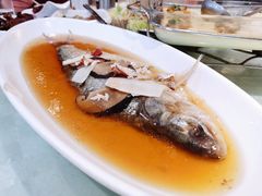 酒糟鲥鱼-光明邨大酒家(淮海路店)