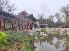 -晋祠公园