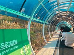 -盈香心动乐园